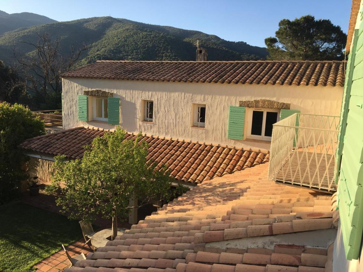 Villa Bonheur Vallespir Céret Eksteriør billede