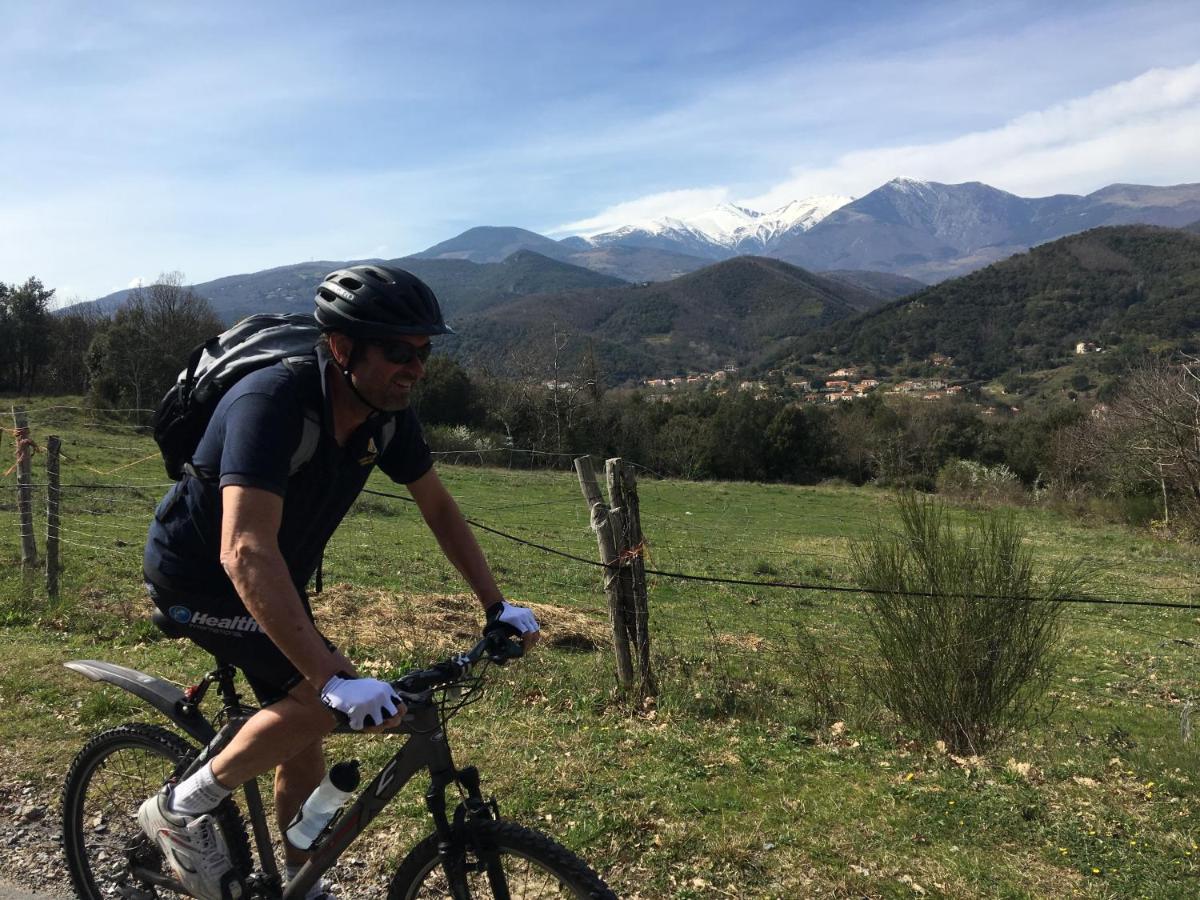 Villa Bonheur Vallespir Céret Eksteriør billede