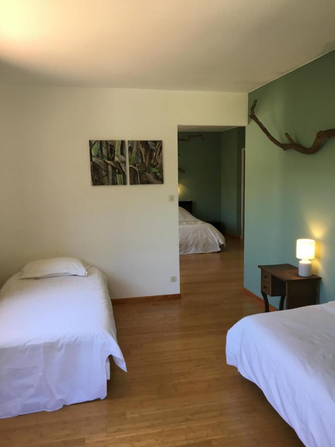 Villa Bonheur Vallespir Céret Eksteriør billede