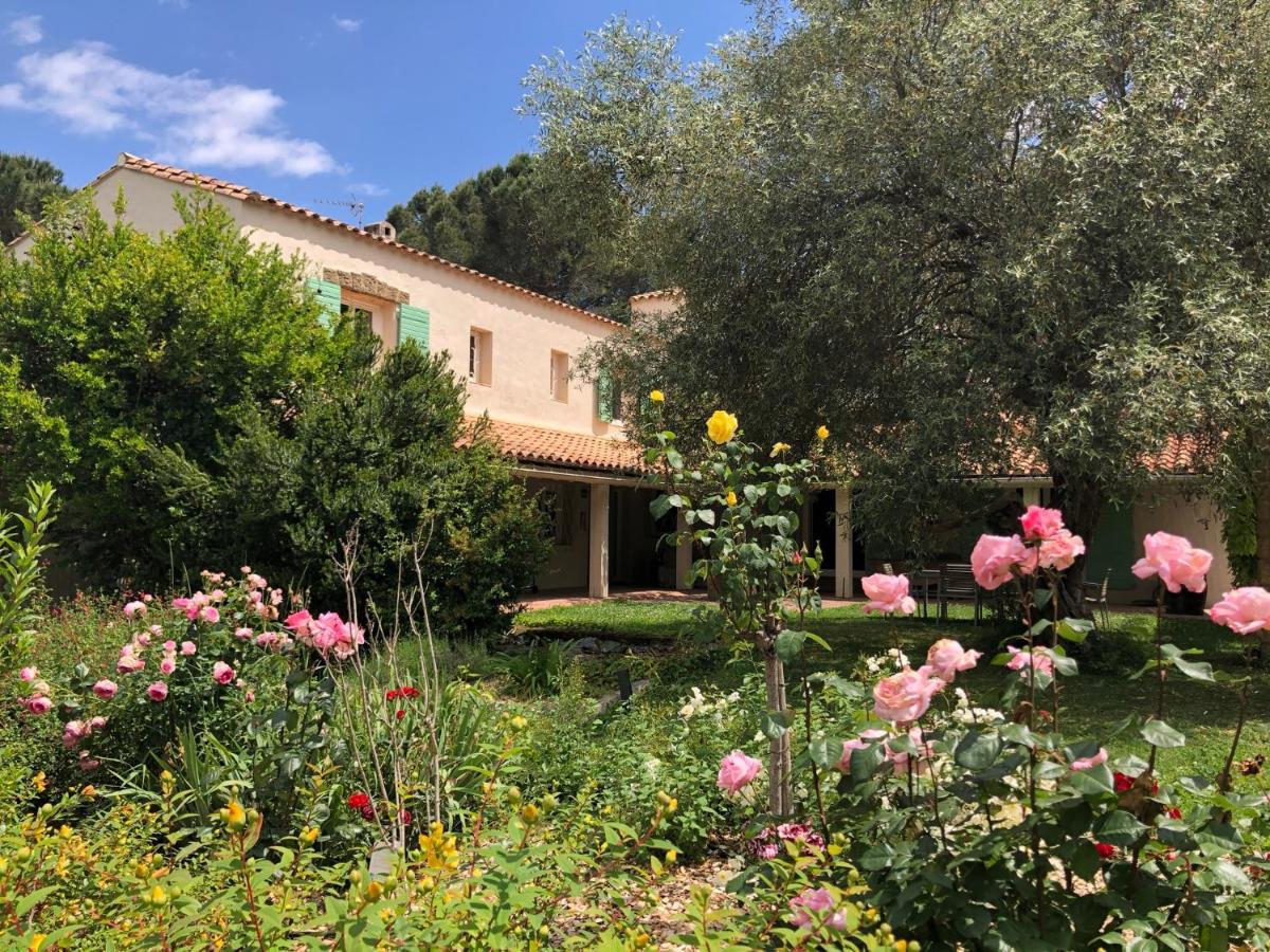 Villa Bonheur Vallespir Céret Eksteriør billede