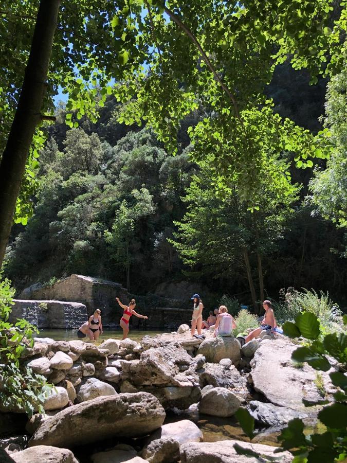 Villa Bonheur Vallespir Céret Eksteriør billede