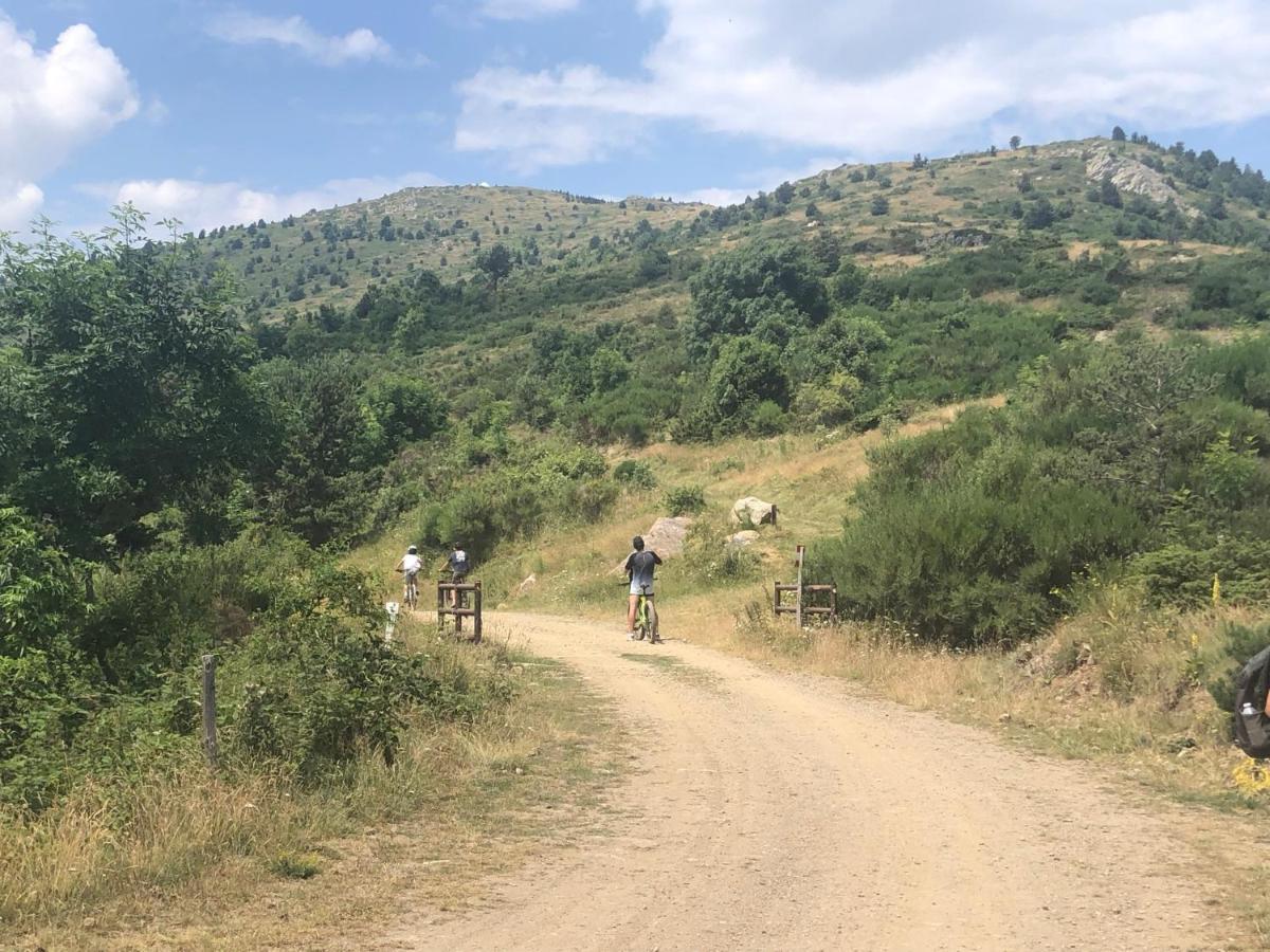 Villa Bonheur Vallespir Céret Eksteriør billede