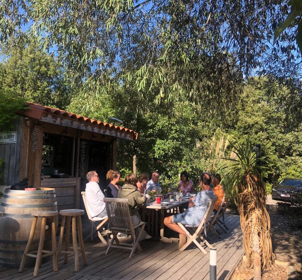 Villa Bonheur Vallespir Céret Eksteriør billede