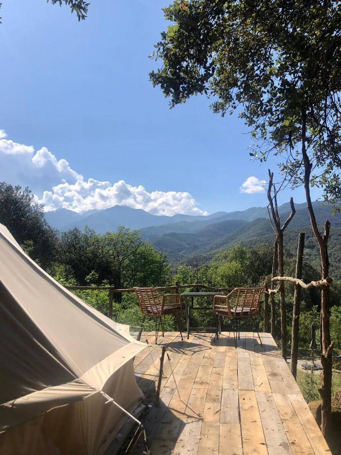 Villa Bonheur Vallespir Céret Eksteriør billede