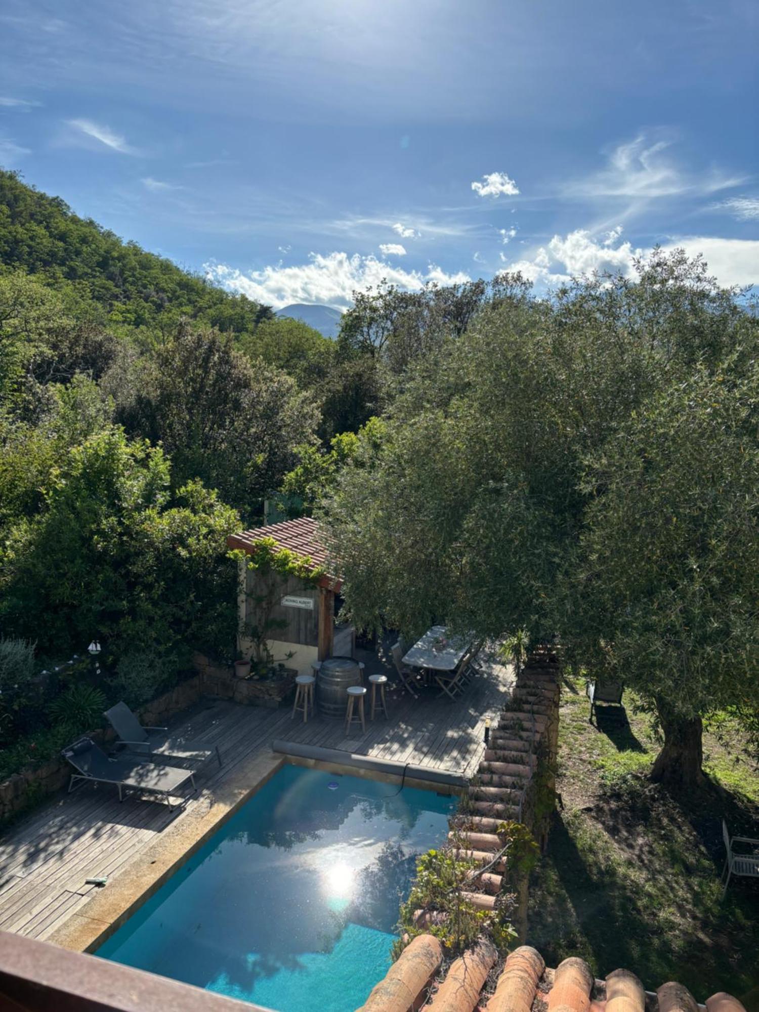 Villa Bonheur Vallespir Céret Eksteriør billede