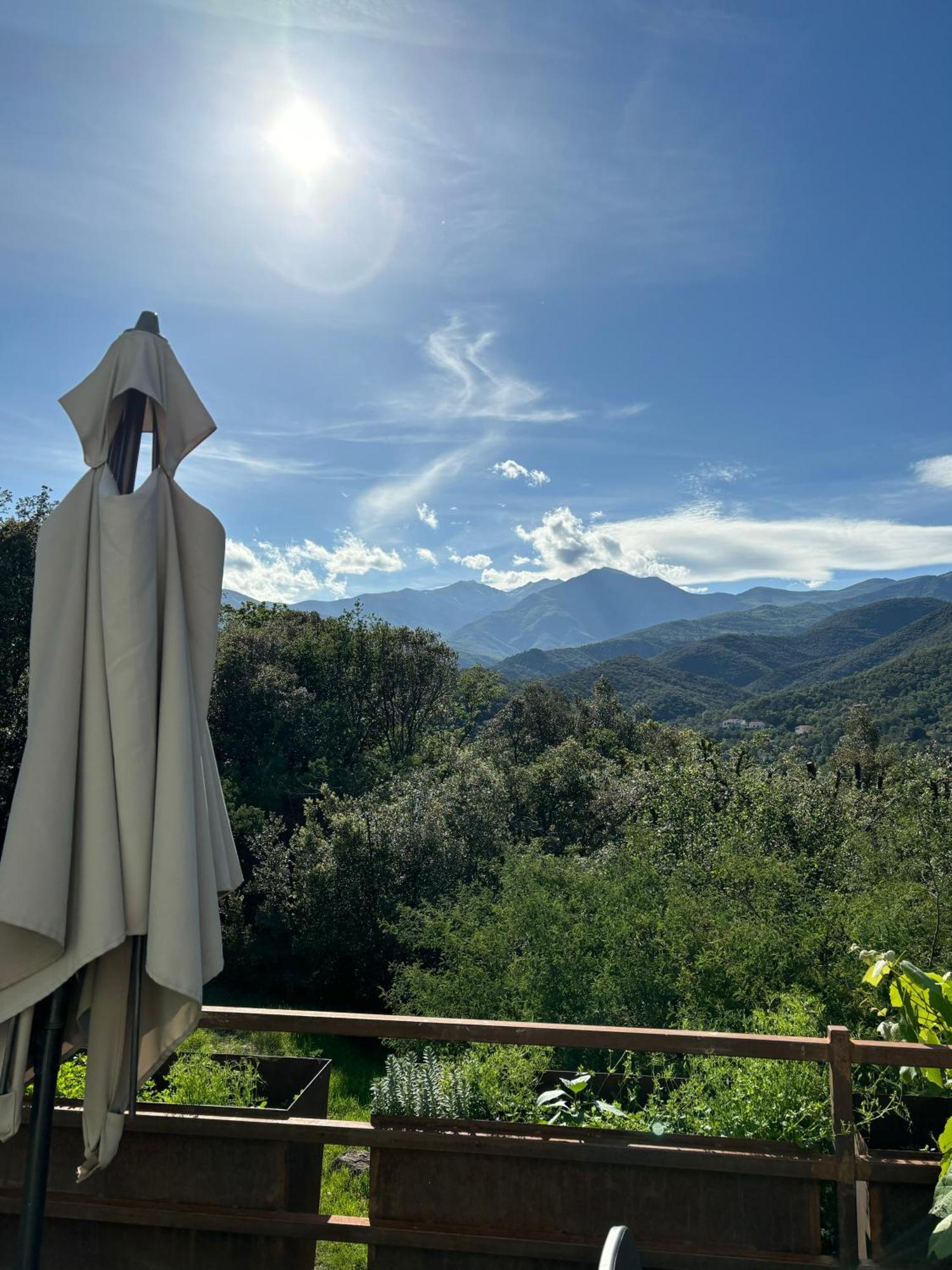 Villa Bonheur Vallespir Céret Eksteriør billede